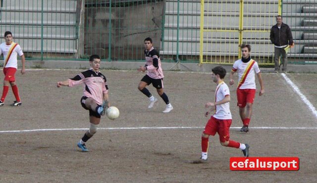 101202_Termitana_jun 056y_tn.jpg